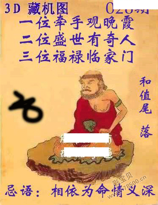 福彩3d2023年028期正版藏机图