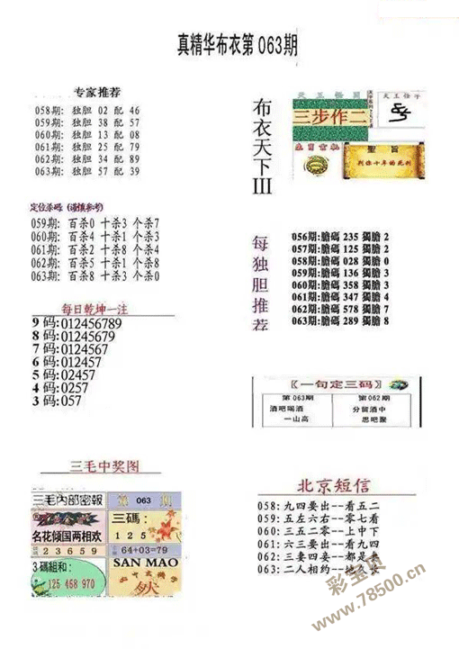 彩报布衣图片图片