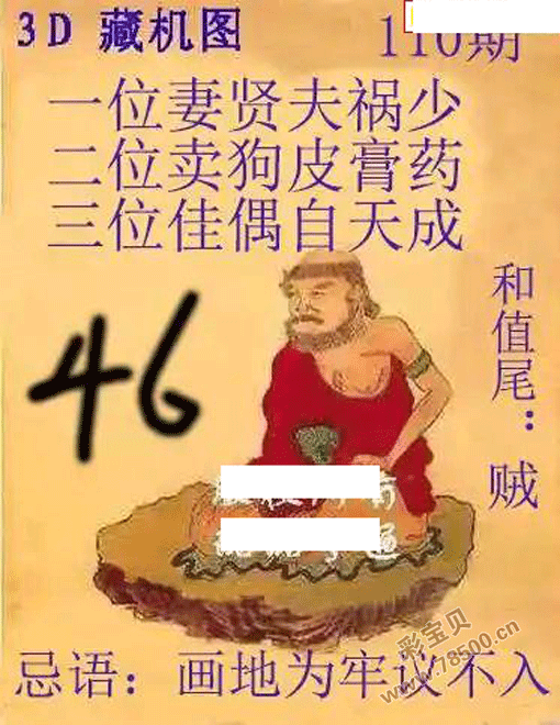 福彩3d2024年110期正版藏机图