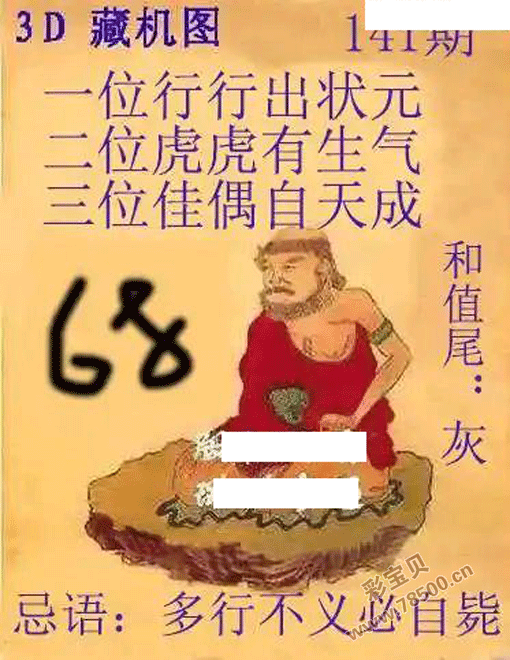 中国福彩藏机图图片