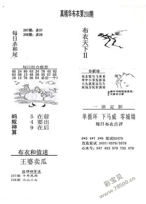 今天3d天下布衣图图片