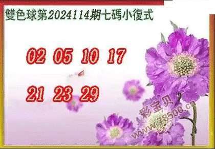 ˫ɫ2024114Сʽͼ