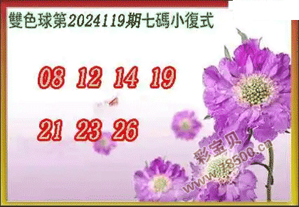 ˫ɫ2024119Сʽͼ