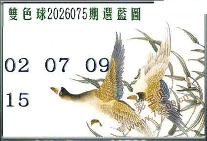 ˫ɫ��2026075��ѡ��ͼ