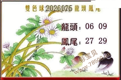 ˫ɫ��2026075����ͷ��βͼ��